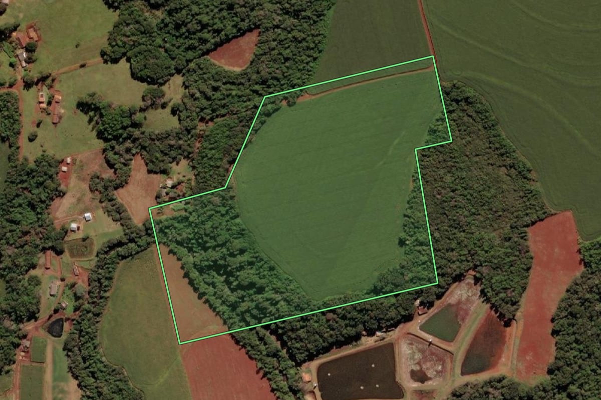 Imagem de satélite do imóvel rural em São Miguel do Iguaçu (PR), com o contorno declarado no CAR desenhado por cima.
