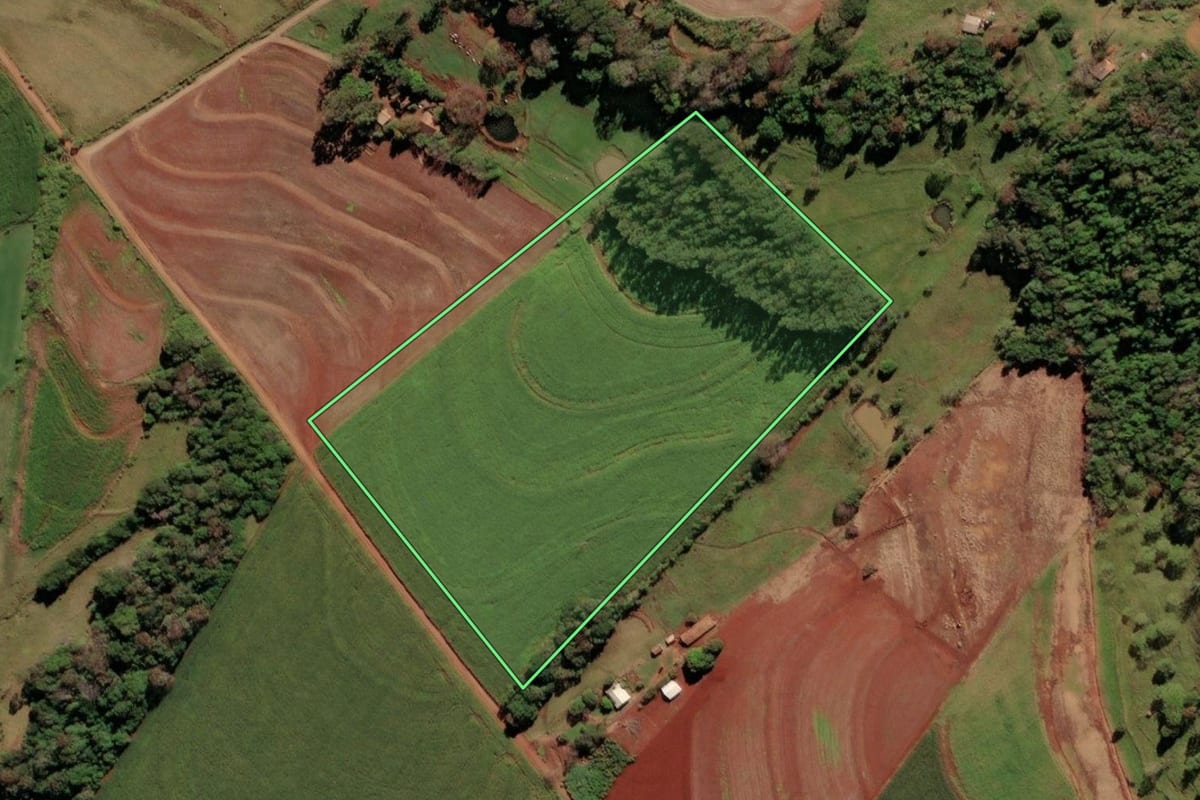 Imagem de satélite do imóvel rural em São Miguel do Iguaçu (PR), com o contorno declarado no CAR desenhado por cima.