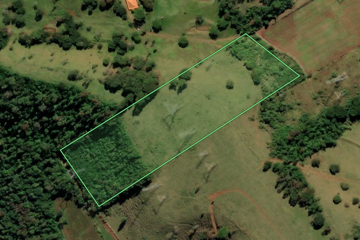 Imagem de satélite do imóvel rural em São Miguel do Iguaçu (PR), com o contorno declarado no CAR desenhado por cima.
