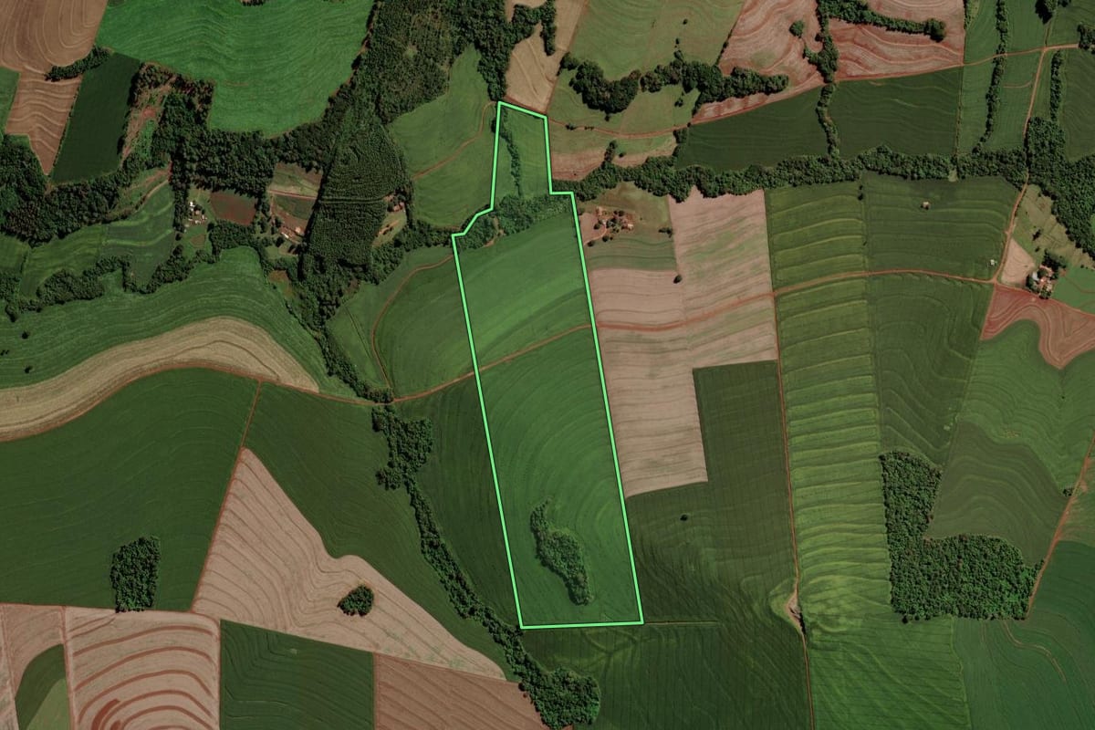 Imagem de satélite do imóvel rural em São Pedro do Iguaçu (PR), com o contorno declarado no CAR desenhado por cima.