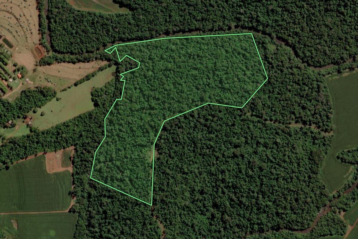 Imagem de satélite do imóvel rural em São Pedro do Iguaçu (PR), com o contorno declarado no CAR desenhado por cima.