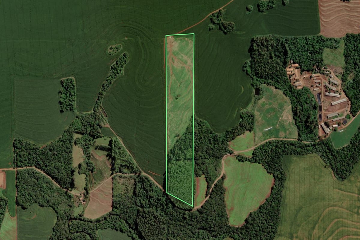 Imagem de satélite do imóvel rural em São Pedro do Iguaçu (PR), com o contorno declarado no CAR desenhado por cima.