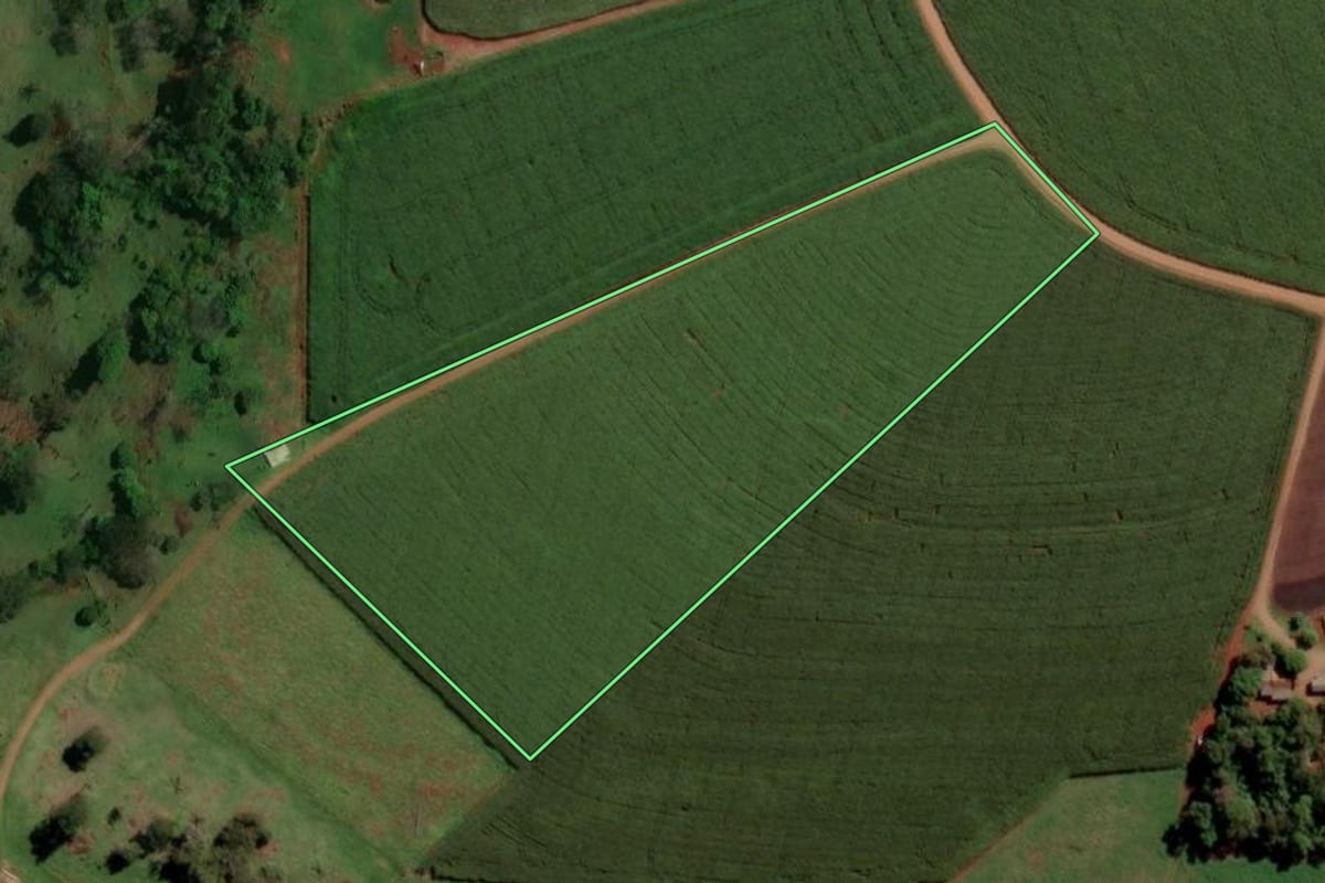 Imagem de satélite do imóvel rural em São Pedro do Iguaçu (PR), com o contorno declarado no CAR desenhado por cima.