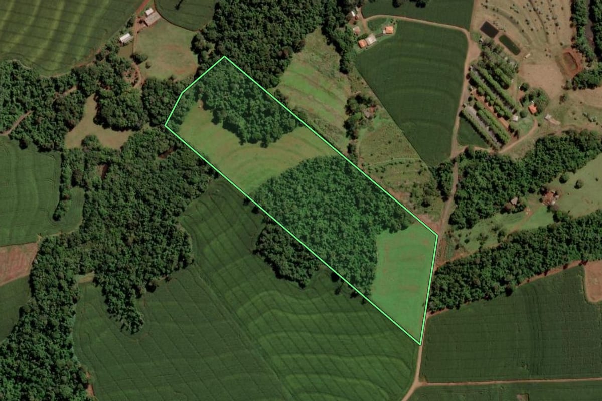 Imagem de satélite do imóvel rural em São Pedro do Iguaçu (PR), com o contorno declarado no CAR desenhado por cima.