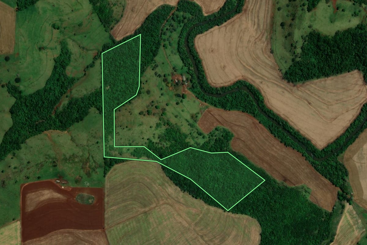 Imagem de satélite do imóvel rural em São Pedro do Iguaçu (PR), com o contorno declarado no CAR desenhado por cima.
