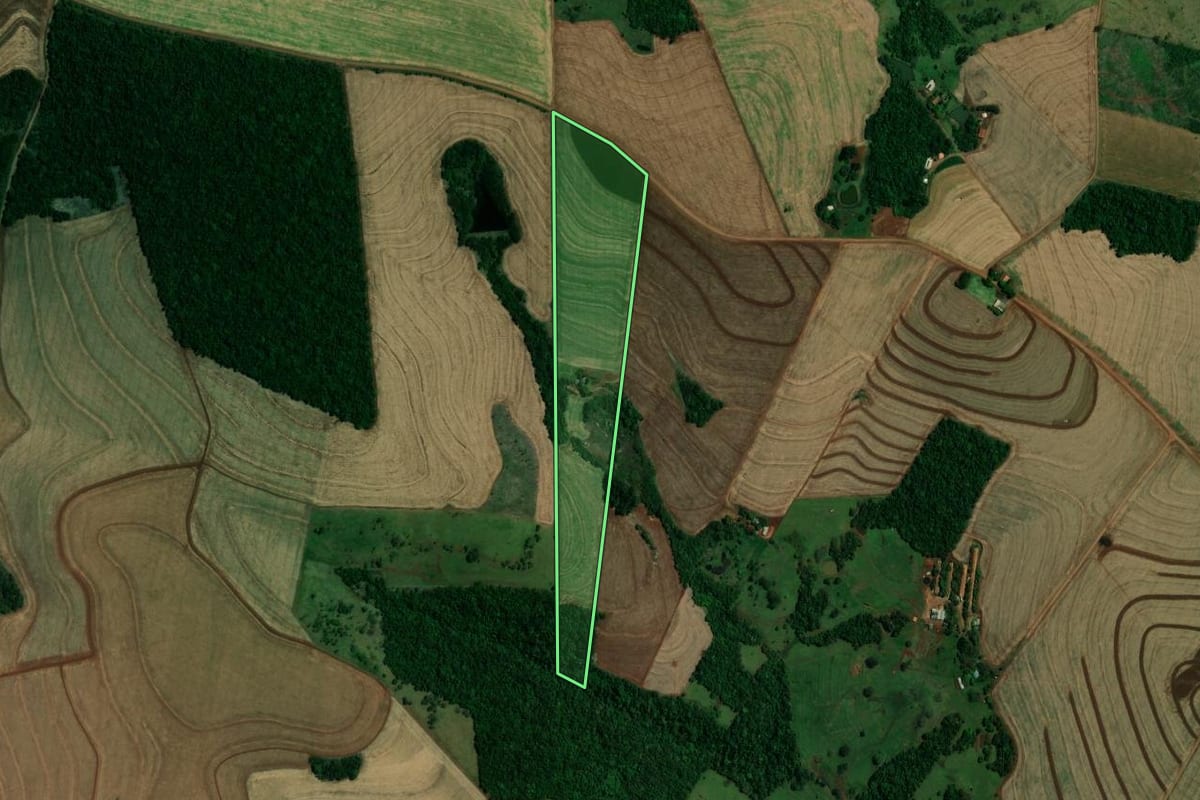 Imagem de satélite do imóvel rural em São Pedro do Iguaçu (PR), com o contorno declarado no CAR desenhado por cima.