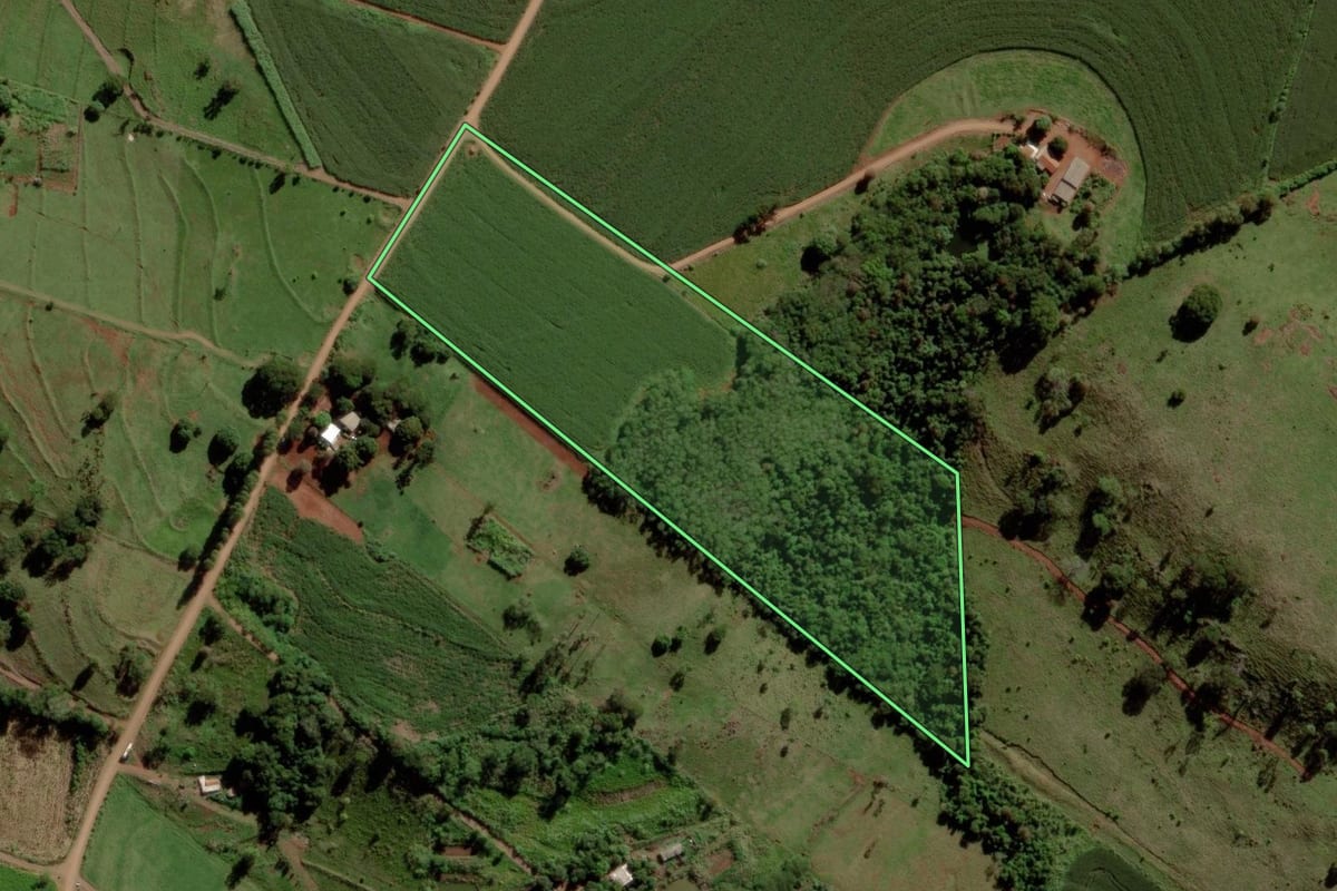 Imagem de satélite do imóvel rural em São Pedro do Iguaçu (PR), com o contorno declarado no CAR desenhado por cima.