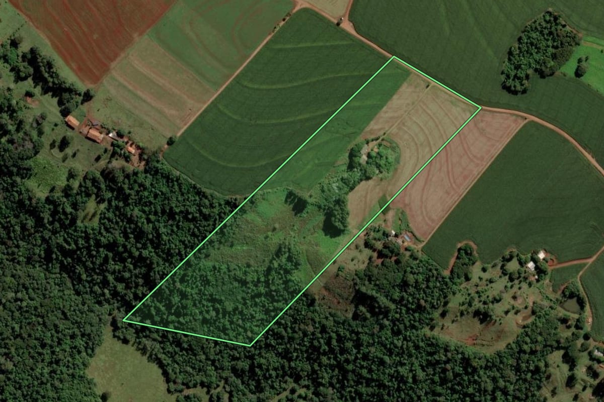 Imagem de satélite do imóvel rural em São Pedro do Iguaçu (PR), com o contorno declarado no CAR desenhado por cima.