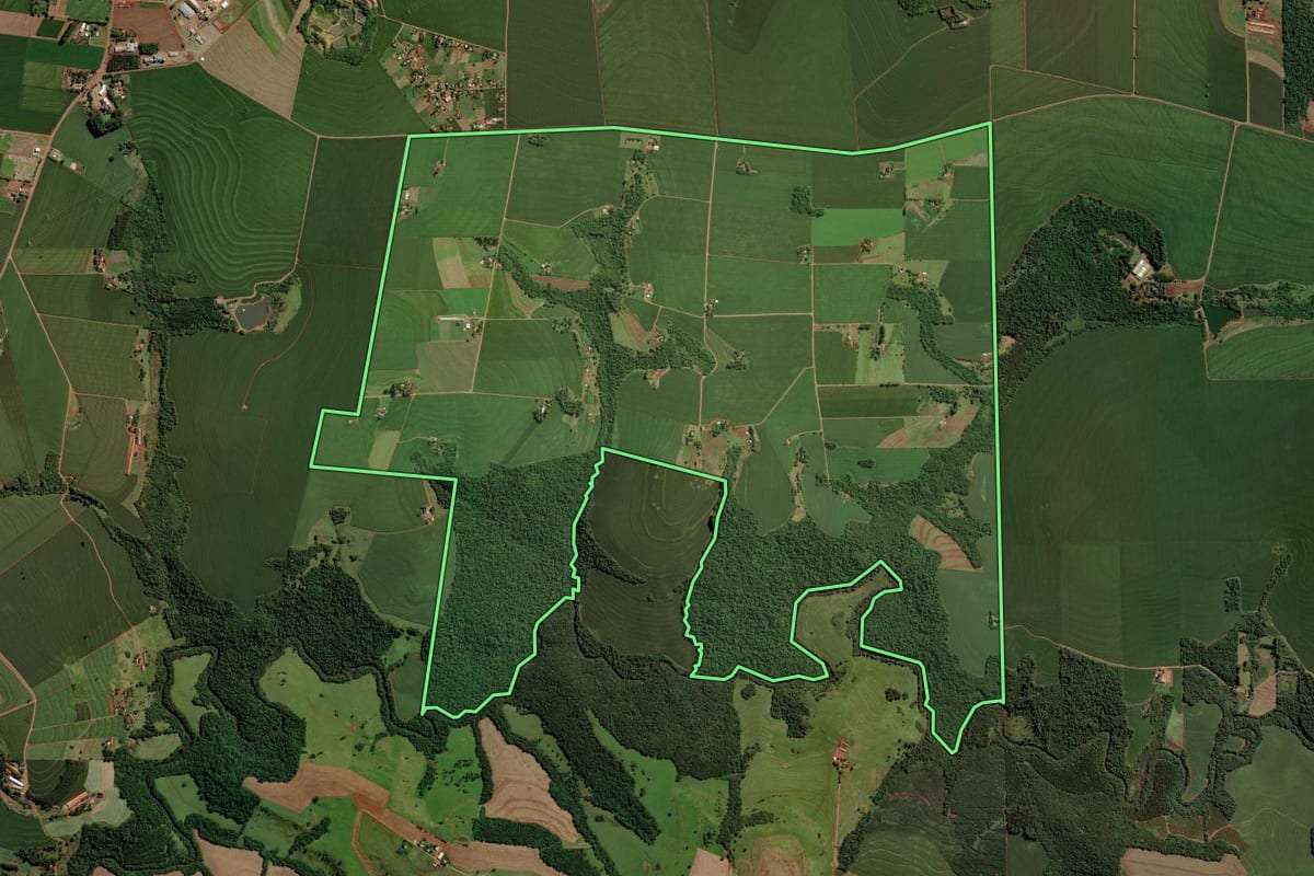 Imagem de satélite do imóvel rural em São Pedro do Iguaçu (PR), com o contorno declarado no CAR desenhado por cima.