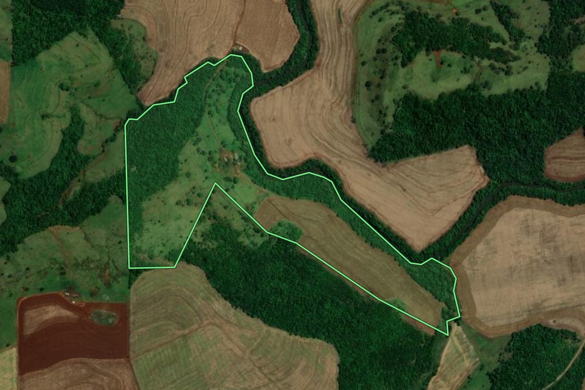Imagem de satélite do imóvel rural em São Pedro do Iguaçu (PR), com o contorno declarado no CAR desenhado por cima.