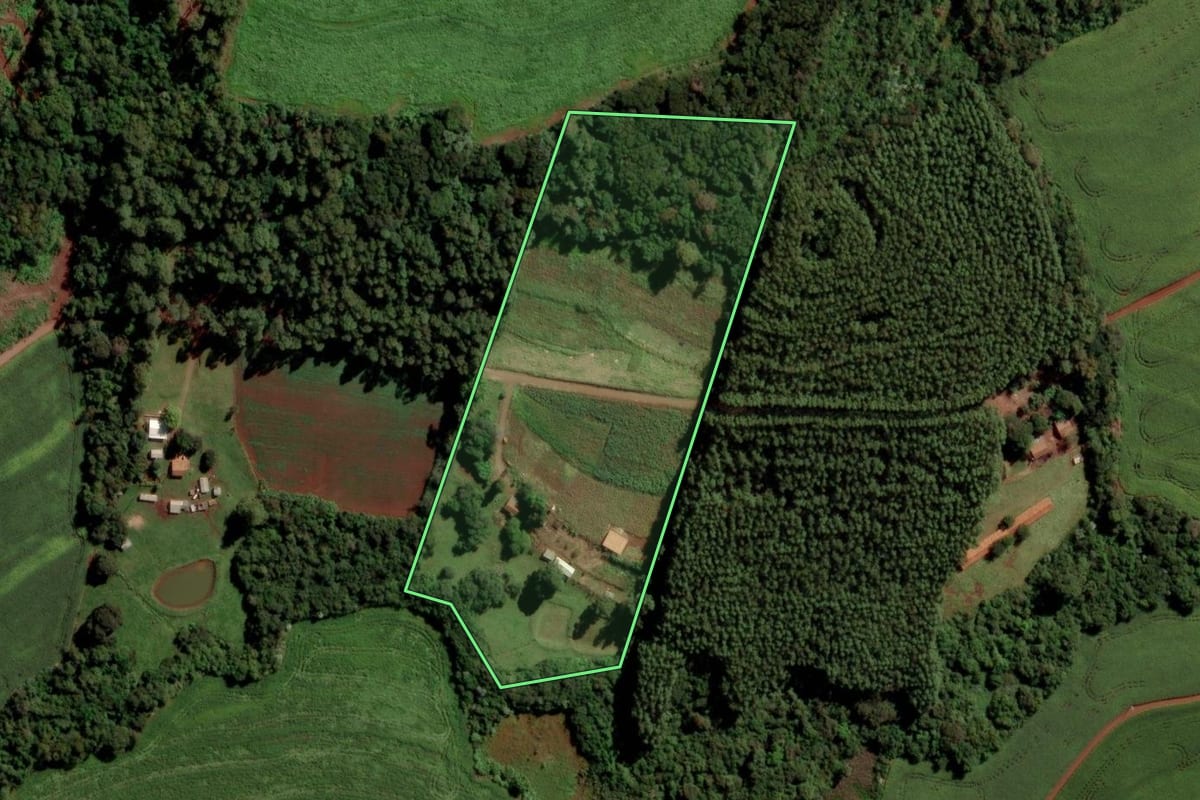 Imagem de satélite do imóvel rural em São Pedro do Iguaçu (PR), com o contorno declarado no CAR desenhado por cima.