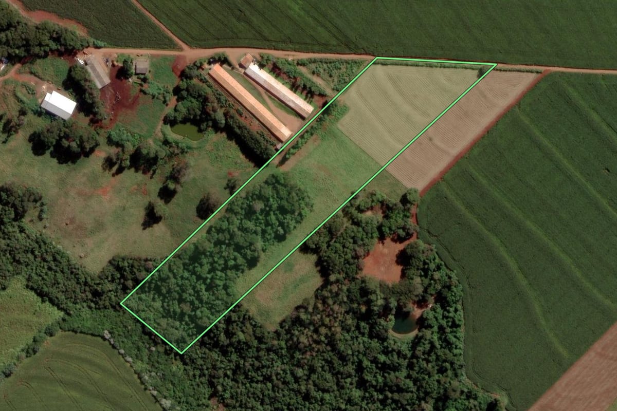 Imagem de satélite do imóvel rural em São Pedro do Iguaçu (PR), com o contorno declarado no CAR desenhado por cima.