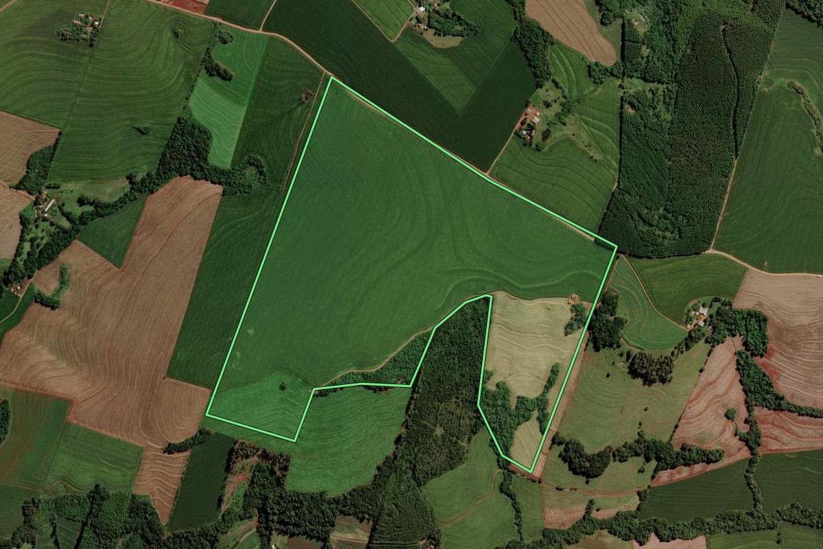 Imagem de satélite do imóvel rural em São Pedro do Iguaçu (PR), com o contorno declarado no CAR desenhado por cima.