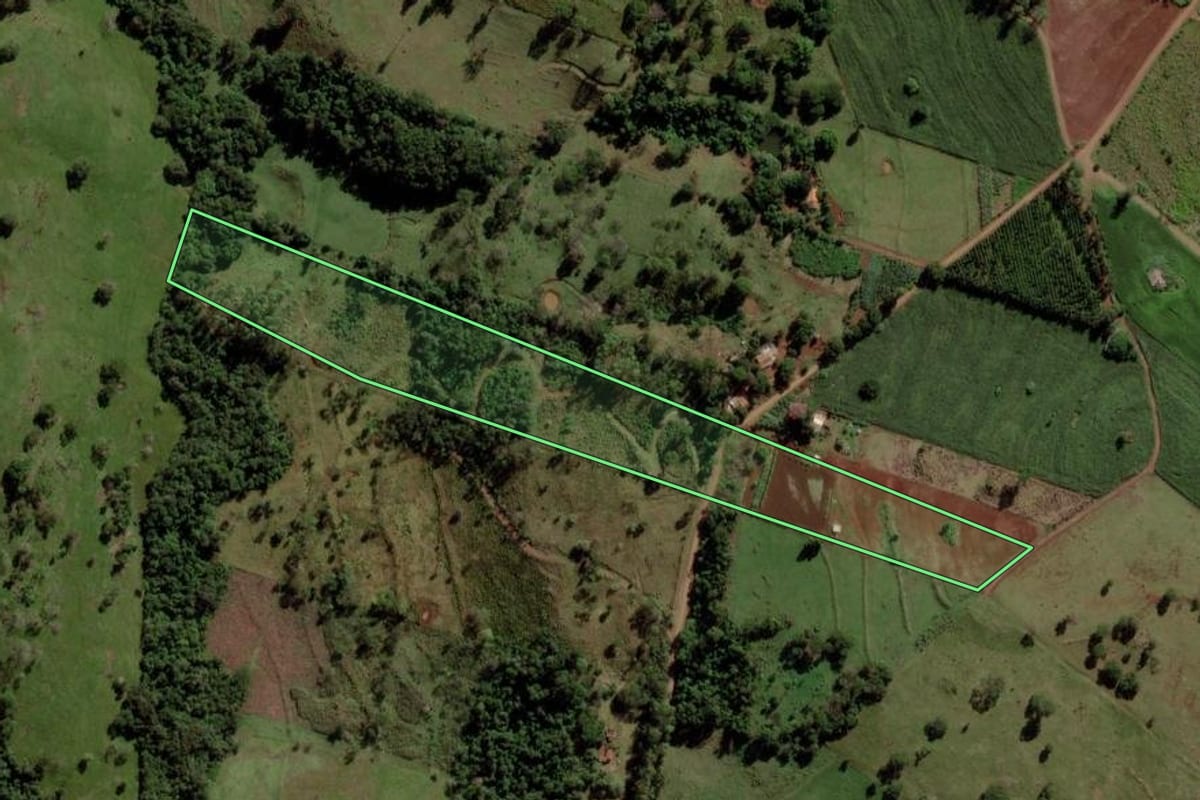 Imagem de satélite do imóvel rural em São Pedro do Iguaçu (PR), com o contorno declarado no CAR desenhado por cima.