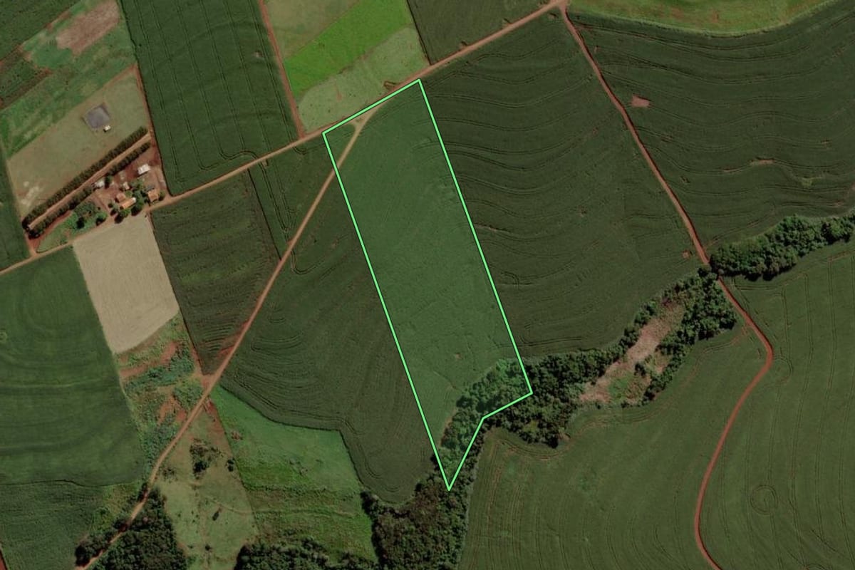 Imagem de satélite do imóvel rural em São Pedro do Iguaçu (PR), com o contorno declarado no CAR desenhado por cima.