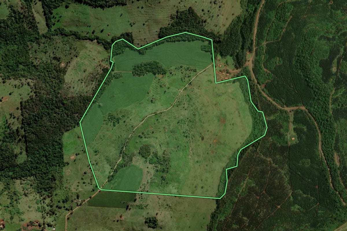 Imagem de satélite do imóvel rural em São Pedro do Iguaçu (PR), com o contorno declarado no CAR desenhado por cima.