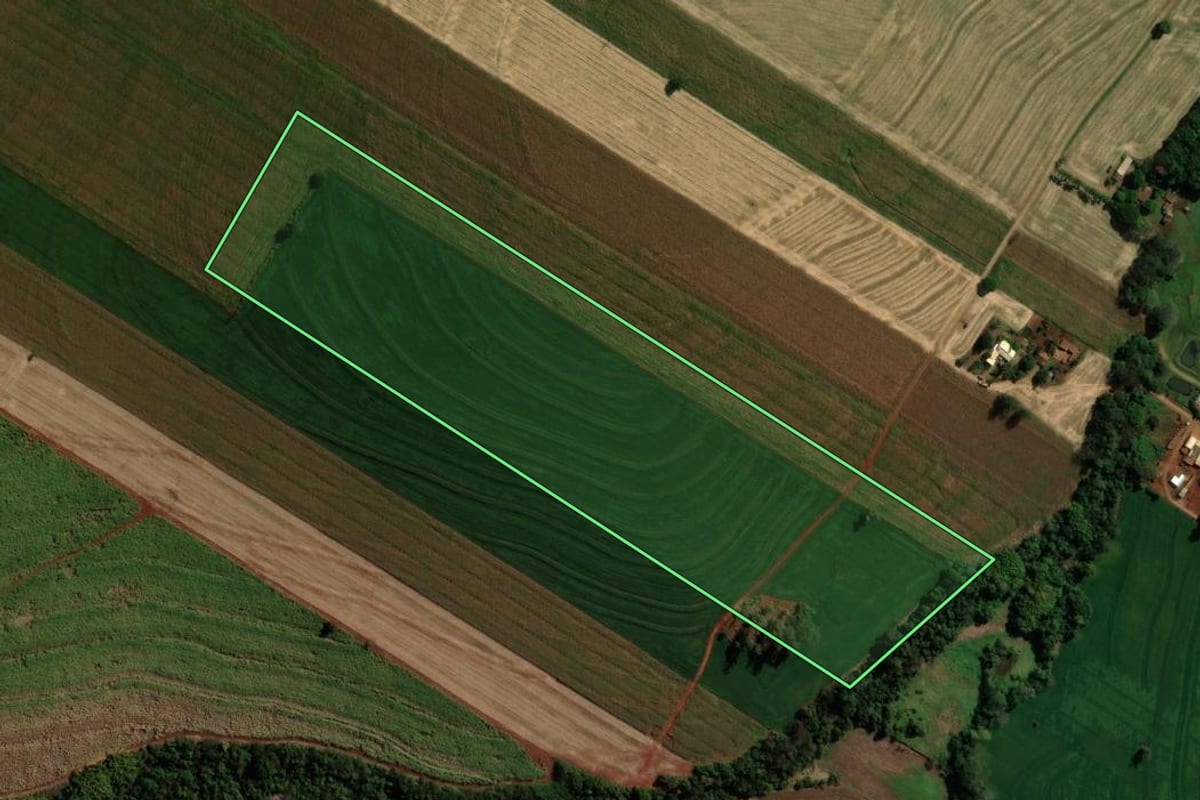 Imagem de satélite do imóvel rural em São Pedro do Ivaí (PR), com o contorno declarado no CAR desenhado por cima.