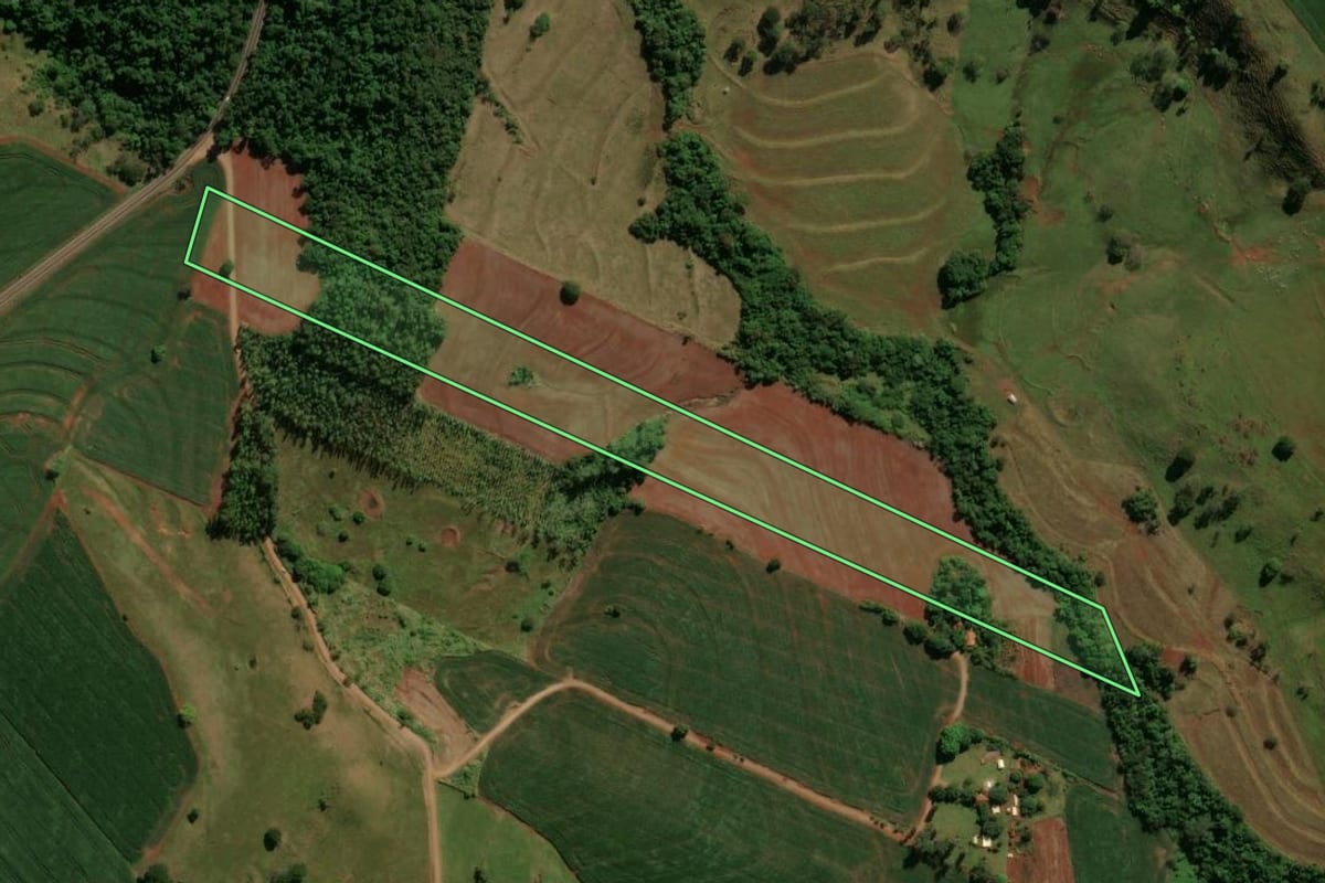 Imagem de satélite do imóvel rural em São Pedro do Ivaí (PR), com o contorno declarado no CAR desenhado por cima.