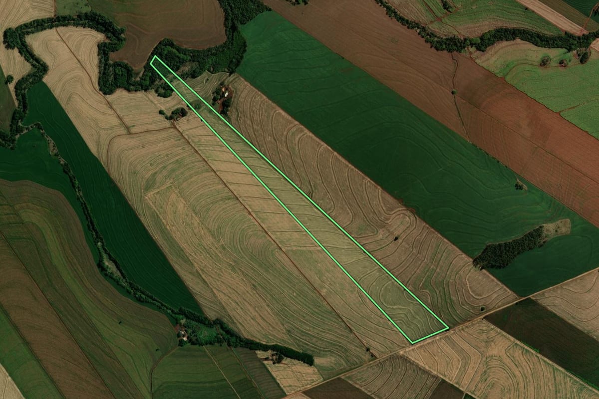 Imagem de satélite do imóvel rural em São Pedro do Ivaí (PR), com o contorno declarado no CAR desenhado por cima.