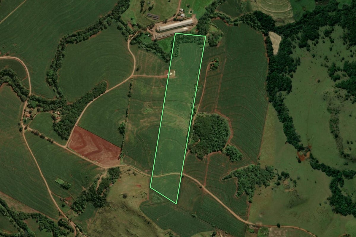 Imagem de satélite do imóvel rural em São Pedro do Ivaí (PR), com o contorno declarado no CAR desenhado por cima.