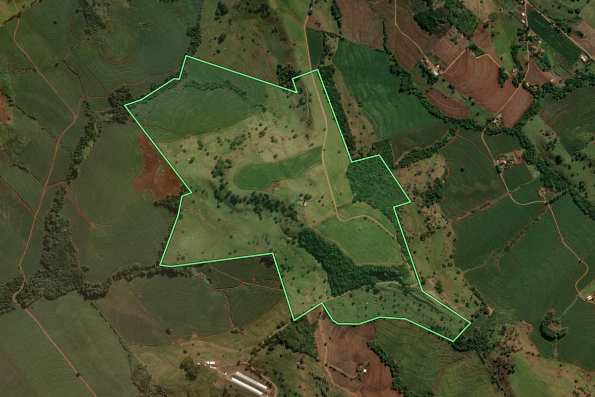 Imagem de satélite do imóvel rural em São Pedro do Ivaí (PR), com o contorno declarado no CAR desenhado por cima.