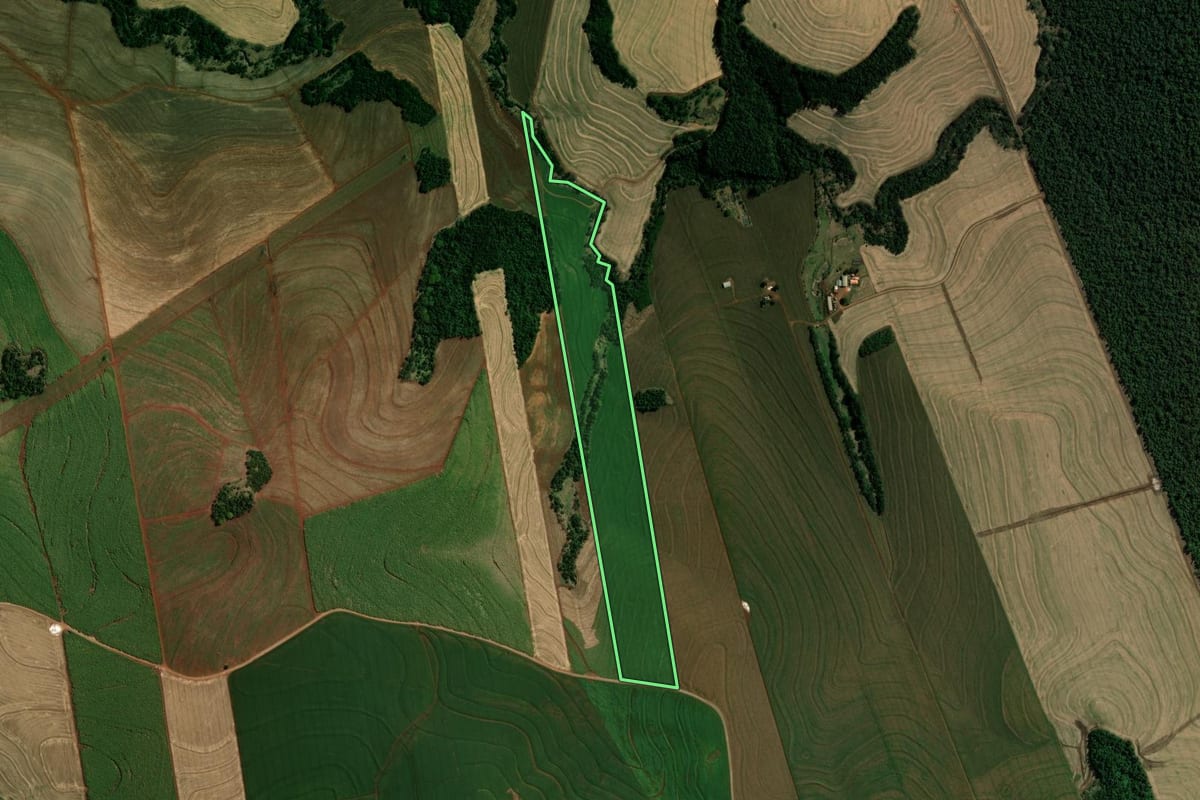 Imagem de satélite do imóvel rural em São Pedro do Ivaí (PR), com o contorno declarado no CAR desenhado por cima.