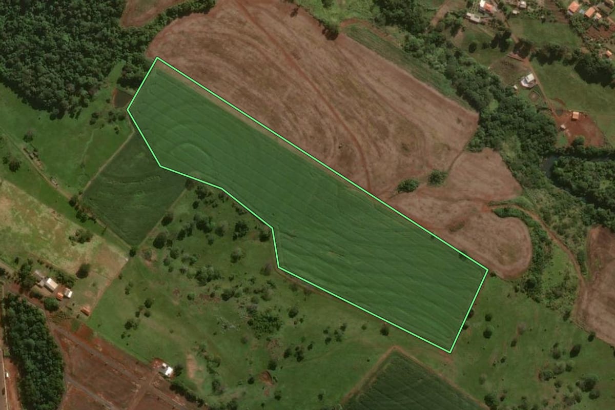 Imagem de satélite do imóvel rural em São Pedro do Ivaí (PR), com o contorno declarado no CAR desenhado por cima.