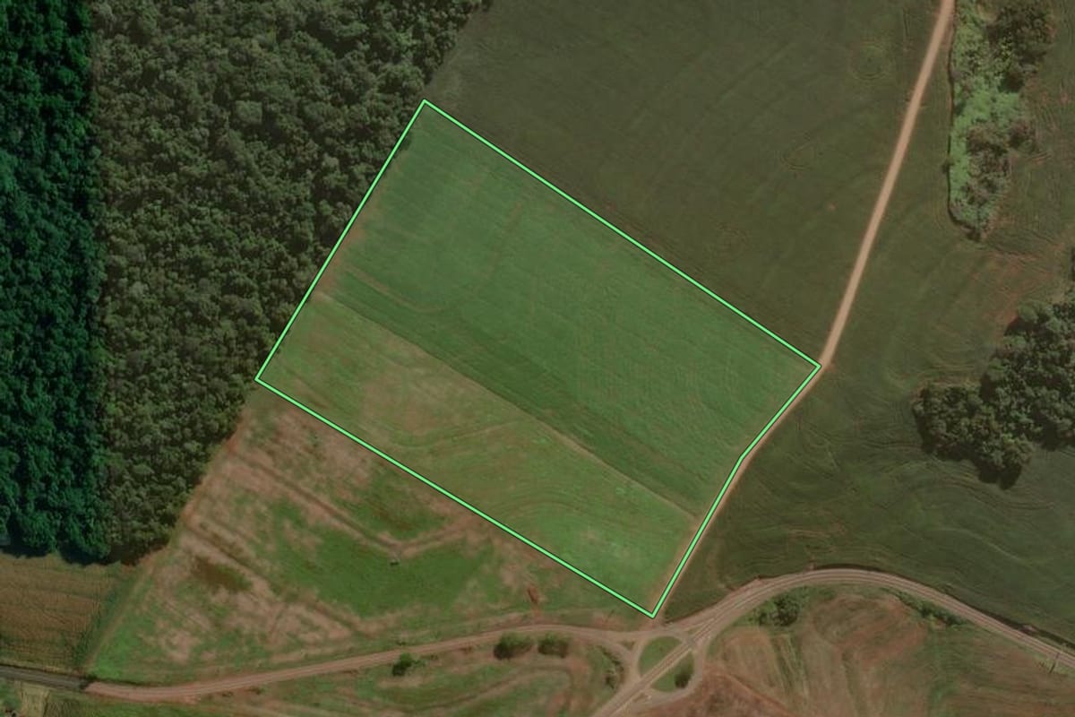 Imagem de satélite do imóvel rural em São Pedro do Ivaí (PR), com o contorno declarado no CAR desenhado por cima.