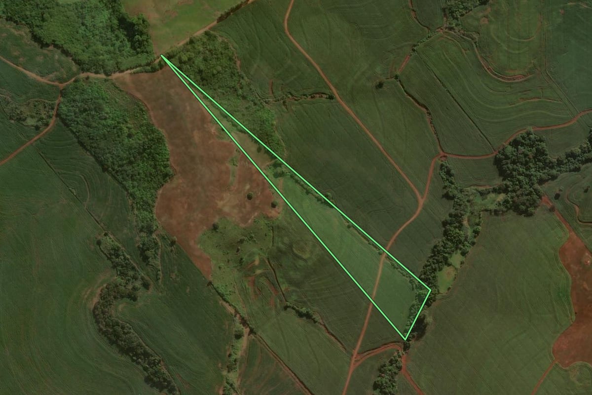 Imagem de satélite do imóvel rural em São Pedro do Ivaí (PR), com o contorno declarado no CAR desenhado por cima.