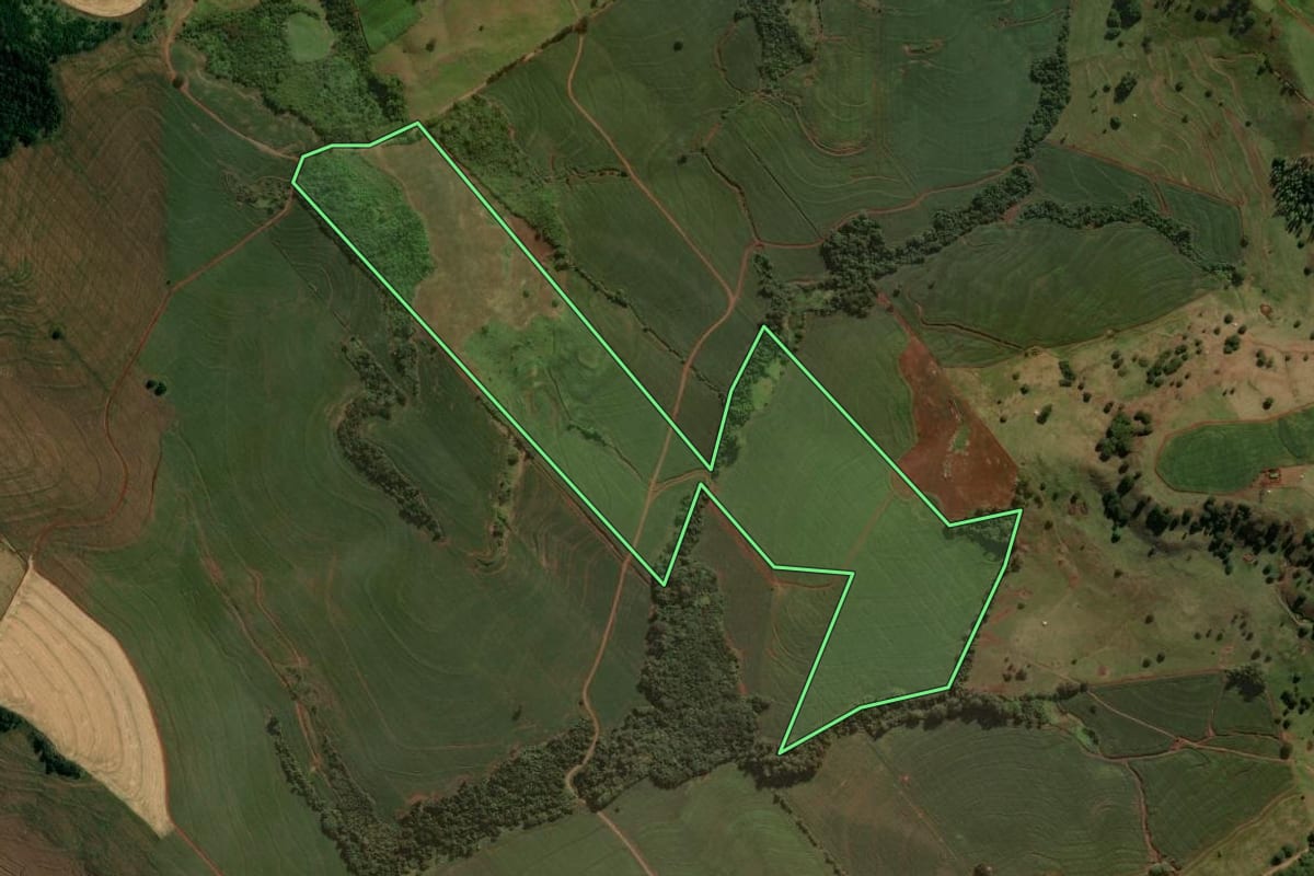 Imagem de satélite do imóvel rural em São Pedro do Ivaí (PR), com o contorno declarado no CAR desenhado por cima.