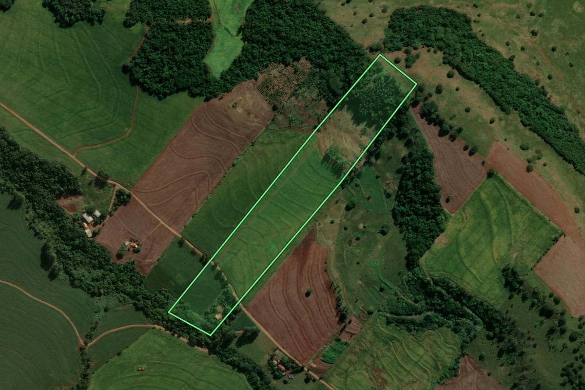 Imagem de satélite do imóvel rural em São Pedro do Ivaí (PR), com o contorno declarado no CAR desenhado por cima.