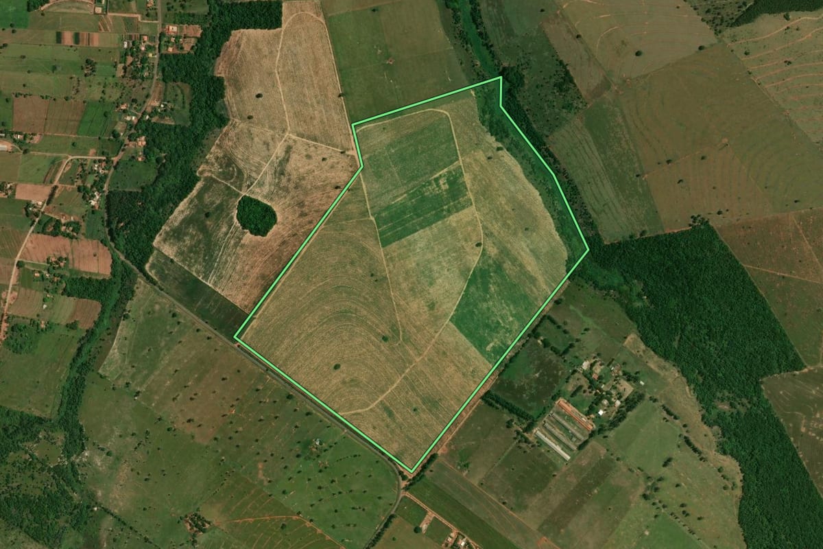 Imagem de satélite do imóvel rural em São Pedro do Paraná (PR), com o contorno declarado no CAR desenhado por cima.