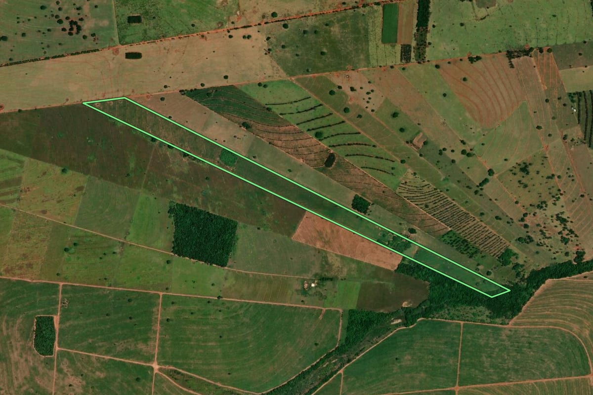 Imagem de satélite do imóvel rural em São Pedro do Paraná (PR), com o contorno declarado no CAR desenhado por cima.