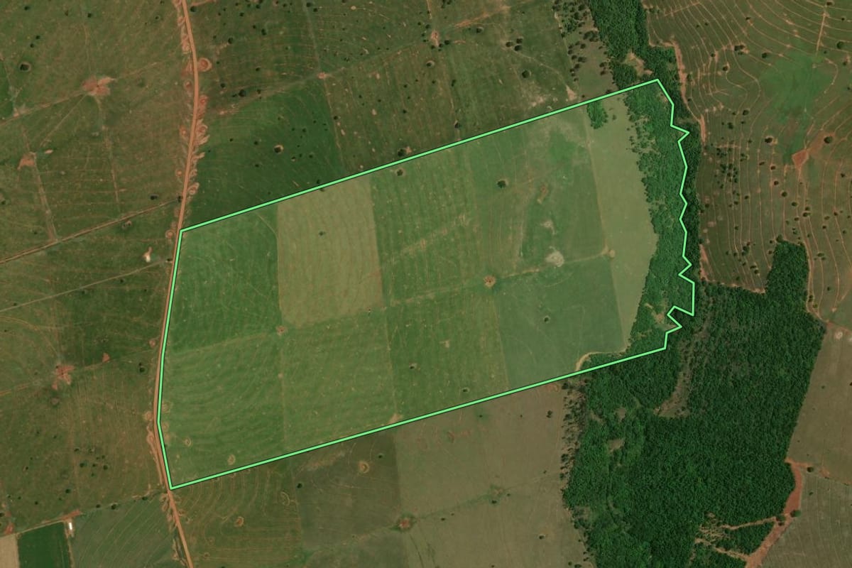Imagem de satélite do imóvel rural em São Pedro do Paraná (PR), com o contorno declarado no CAR desenhado por cima.