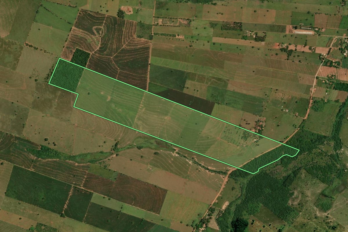Imagem de satélite do imóvel rural em São Pedro do Paraná (PR), com o contorno declarado no CAR desenhado por cima.