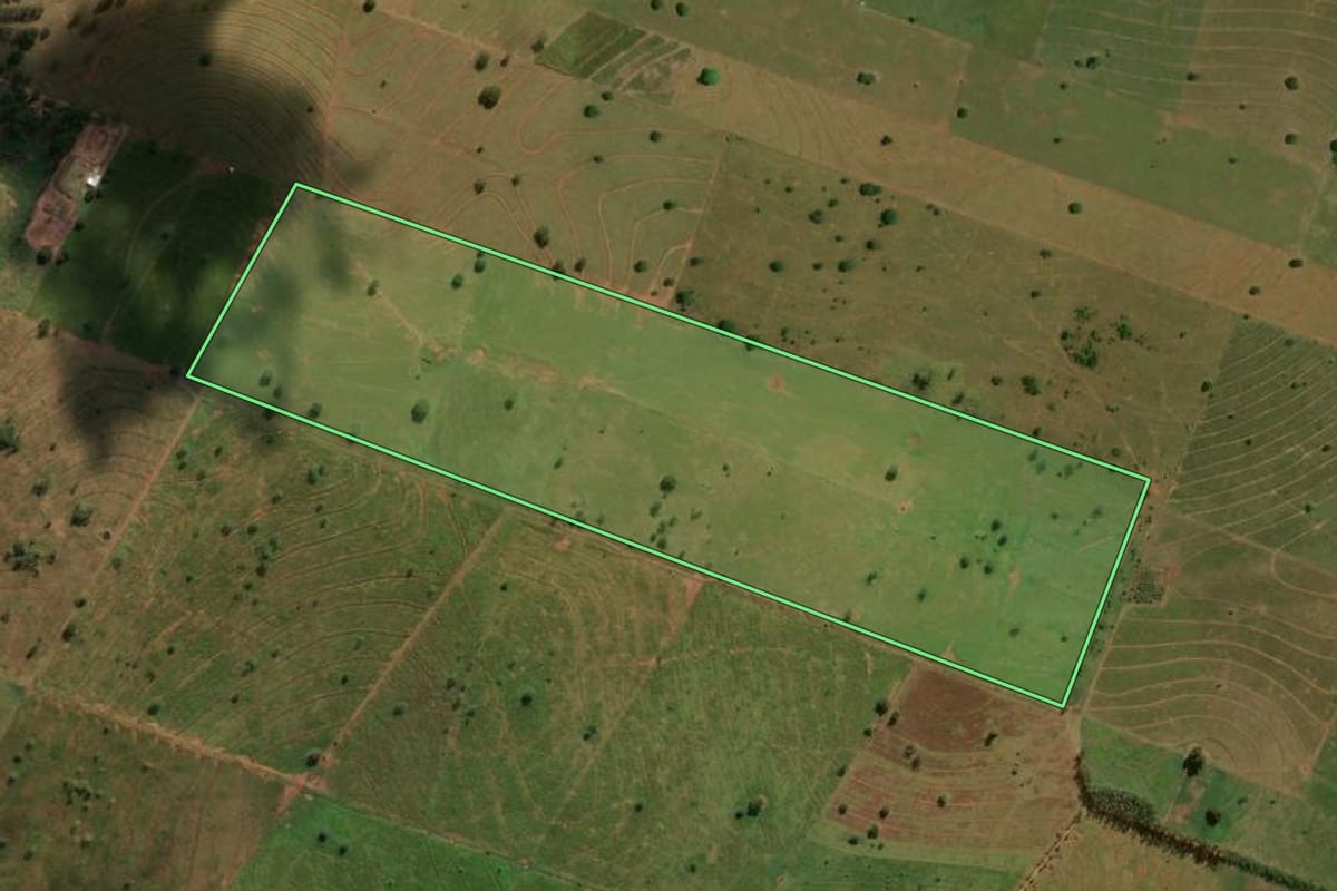 Imagem de satélite do imóvel rural em São Pedro do Paraná (PR), com o contorno declarado no CAR desenhado por cima.
