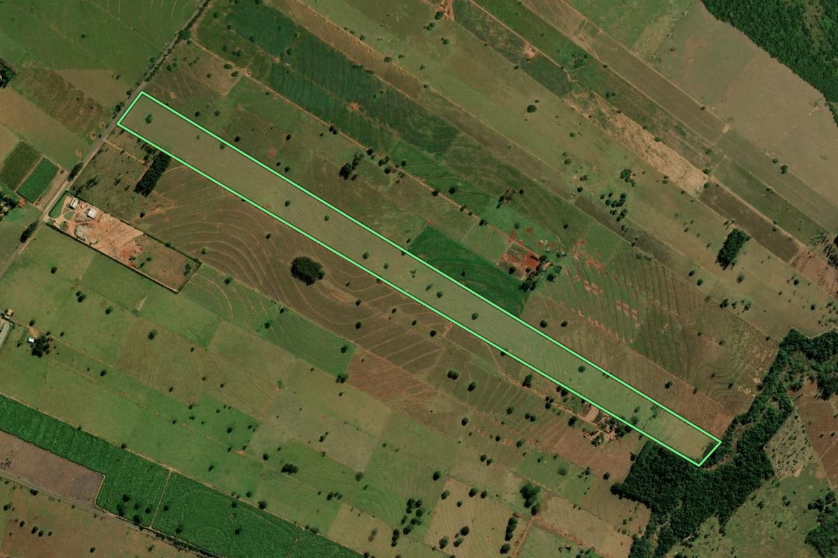 Imagem de satélite do imóvel rural em São Pedro do Paraná (PR), com o contorno declarado no CAR desenhado por cima.