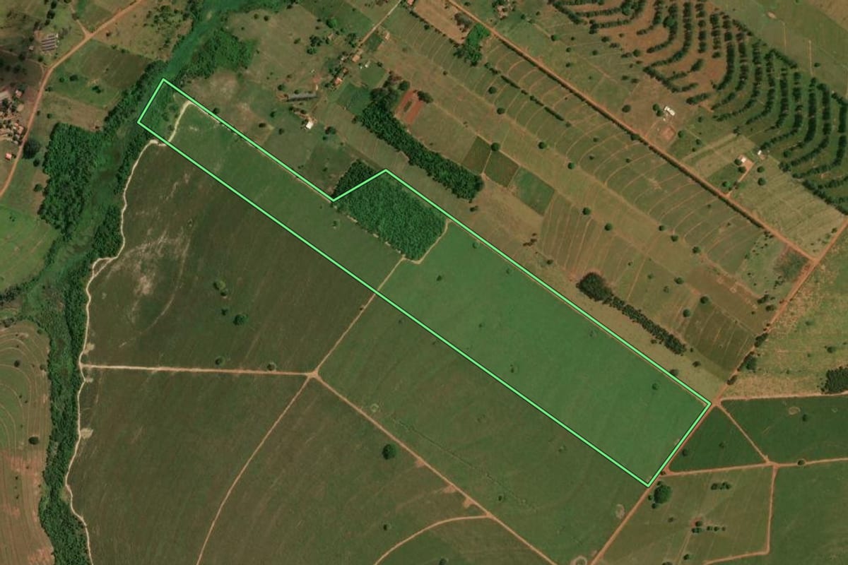 Imagem de satélite do imóvel rural em São Pedro do Paraná (PR), com o contorno declarado no CAR desenhado por cima.