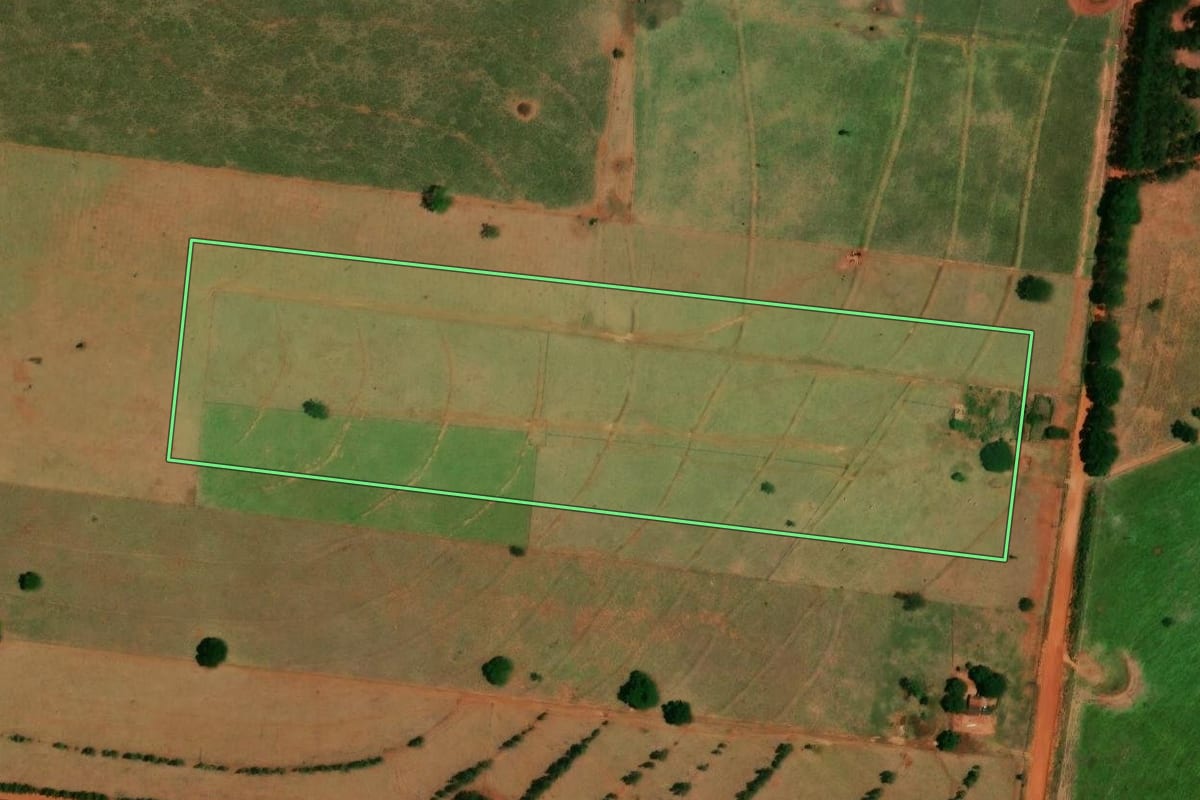 Imagem de satélite do imóvel rural em São Pedro do Paraná (PR), com o contorno declarado no CAR desenhado por cima.