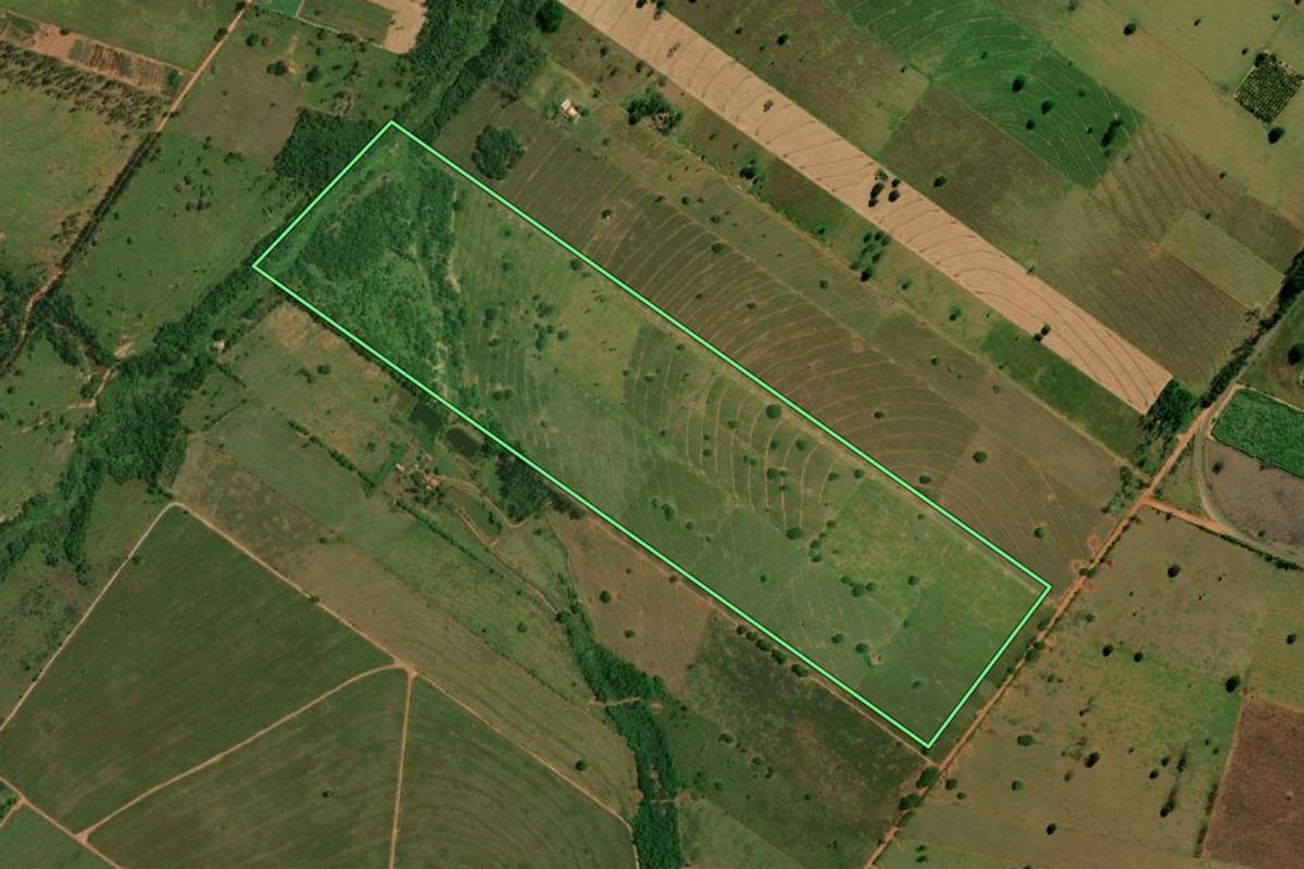 Imagem de satélite do imóvel rural em São Pedro do Paraná (PR), com o contorno declarado no CAR desenhado por cima.