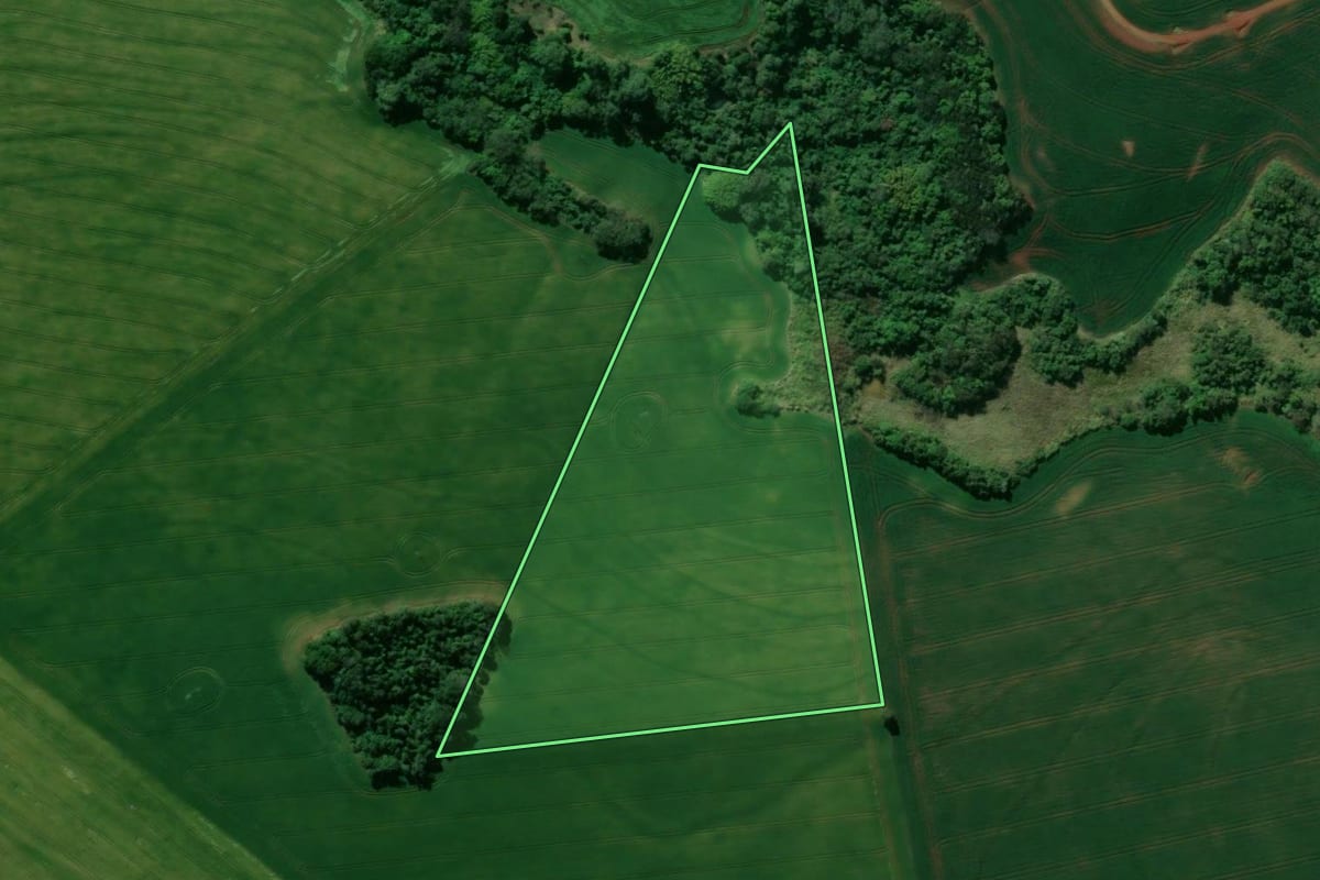 Imagem de satélite do imóvel rural em São Sebastião da Amoreira (PR), com o contorno declarado no CAR desenhado por cima.