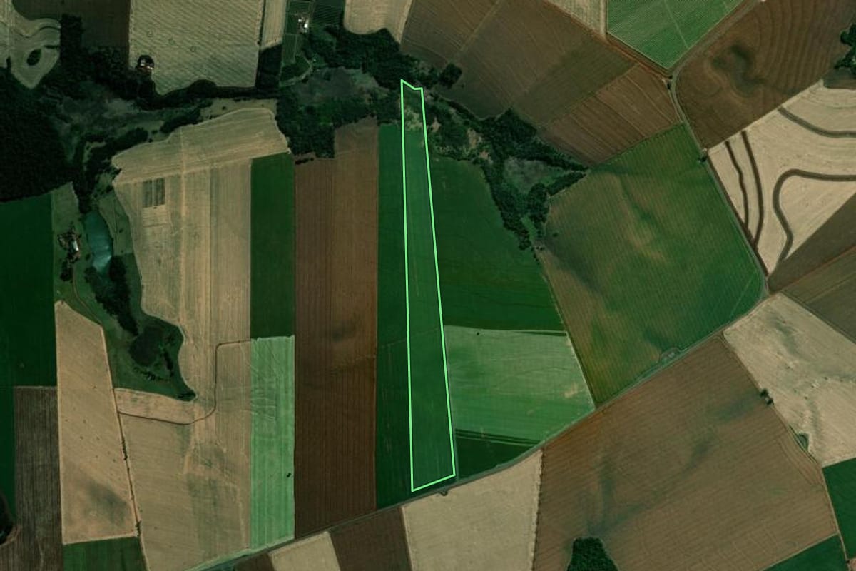 Imagem de satélite do imóvel rural em São Sebastião da Amoreira (PR), com o contorno declarado no CAR desenhado por cima.