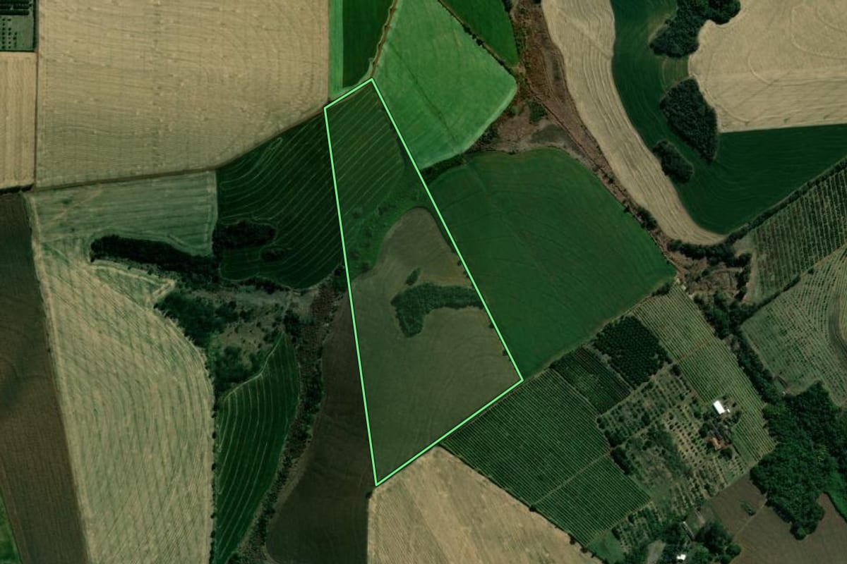 Imagem de satélite do imóvel rural em São Sebastião da Amoreira (PR), com o contorno declarado no CAR desenhado por cima.