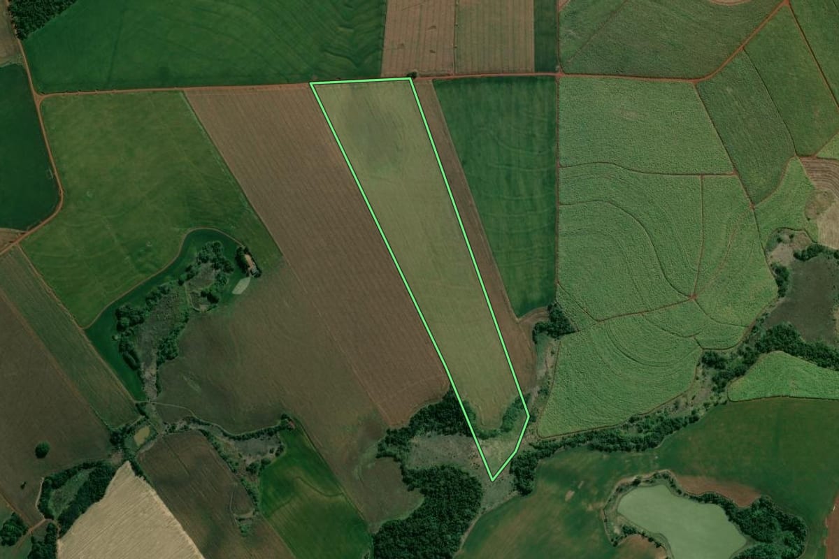 Imagem de satélite do imóvel rural em São Sebastião da Amoreira (PR), com o contorno declarado no CAR desenhado por cima.