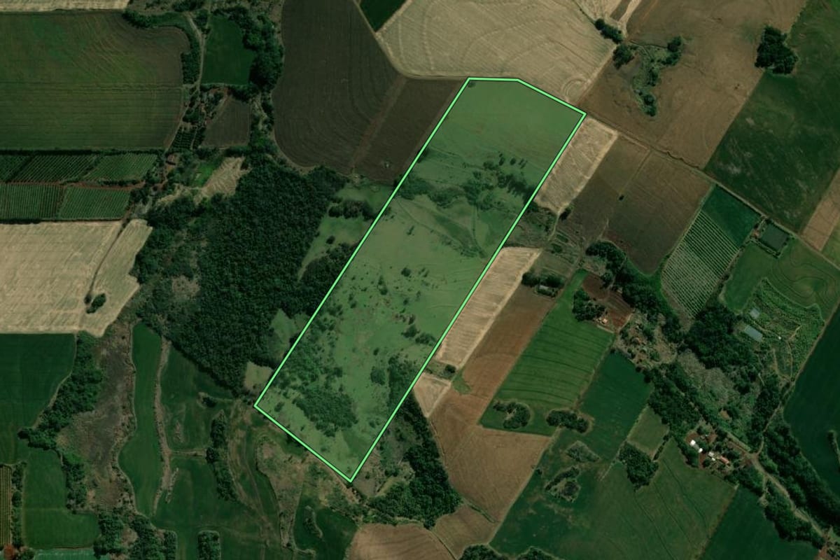Imagem de satélite do imóvel rural em São Sebastião da Amoreira (PR), com o contorno declarado no CAR desenhado por cima.