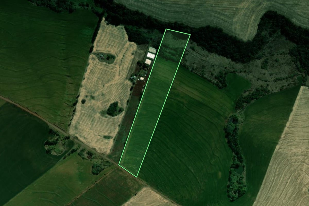 Imagem de satélite do imóvel rural em São Sebastião da Amoreira (PR), com o contorno declarado no CAR desenhado por cima.