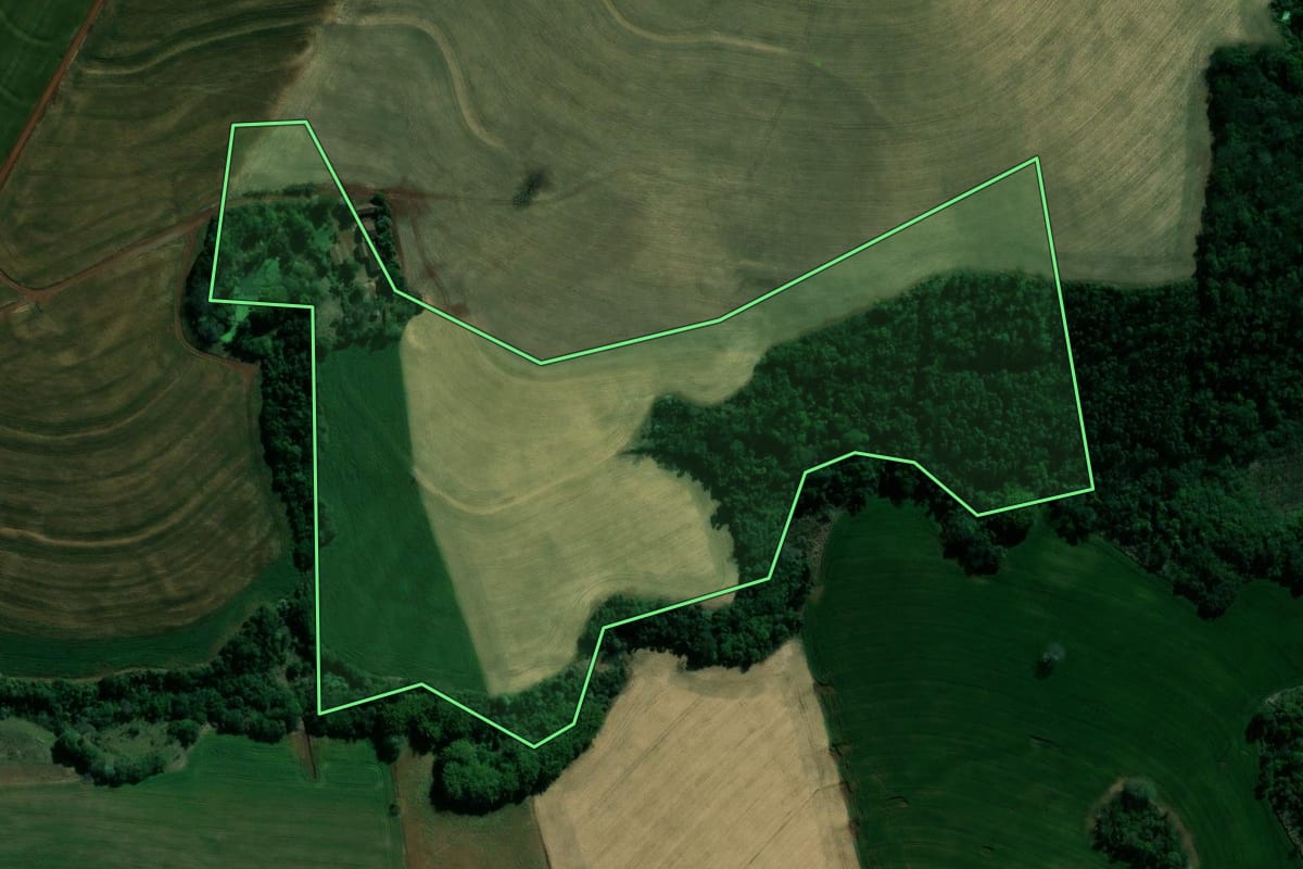 Imagem de satélite do imóvel rural em São Sebastião da Amoreira (PR), com o contorno declarado no CAR desenhado por cima.
