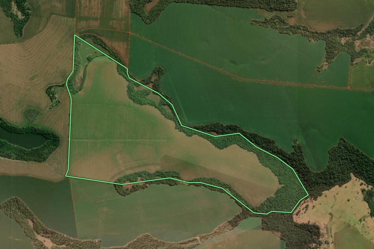 Imagem de satélite do imóvel rural em São Sebastião da Amoreira (PR), com o contorno declarado no CAR desenhado por cima.