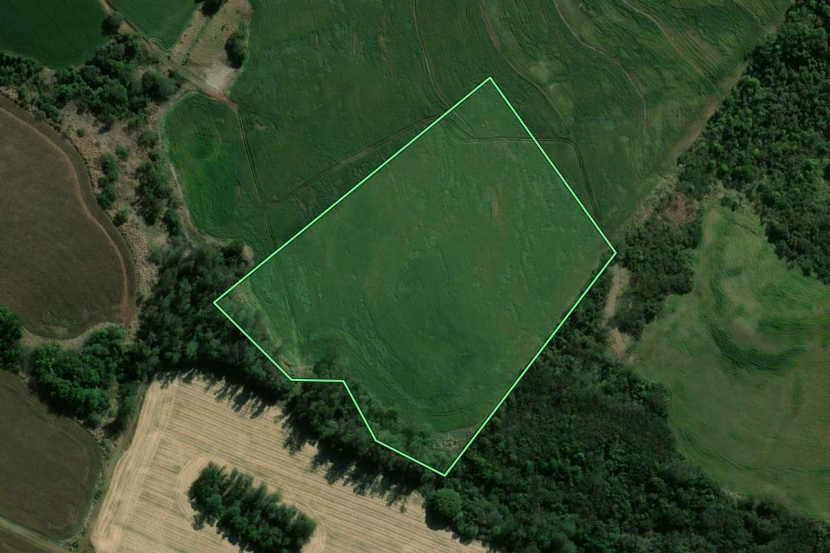 Imagem de satélite do imóvel rural em São Sebastião da Amoreira (PR), com o contorno declarado no CAR desenhado por cima.