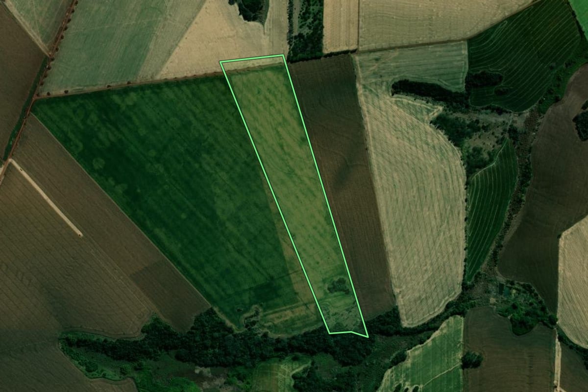Imagem de satélite do imóvel rural em São Sebastião da Amoreira (PR), com o contorno declarado no CAR desenhado por cima.